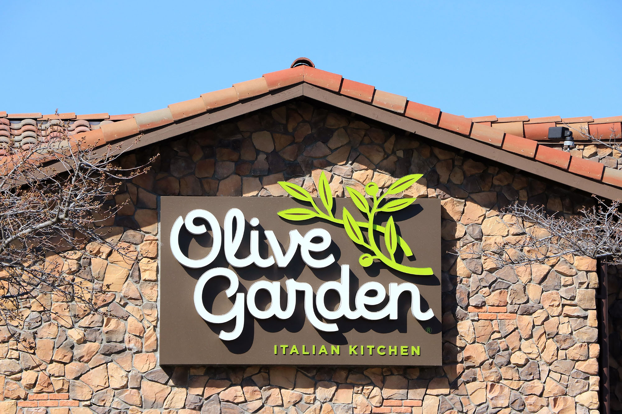 Why Olive Garden Manager Fired Kansas: Unraveling the Controversy